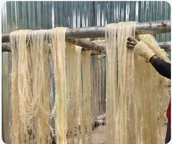 Banana fiber drying and cleaning before grading
