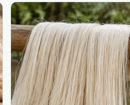 Clean and combed banana fiber